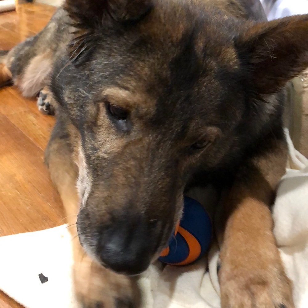 Meet your Posher, Barbara